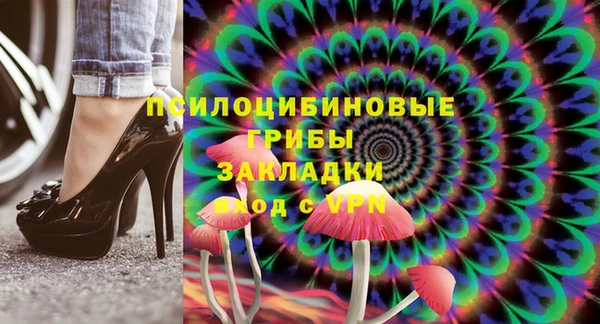 ECSTASY Бородино