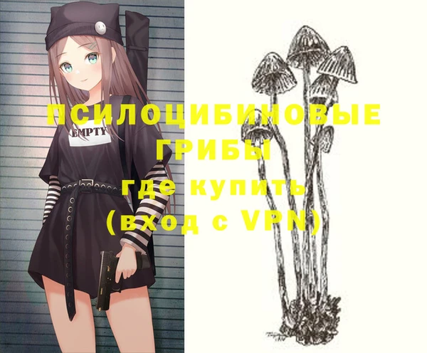 гашик Бугульма