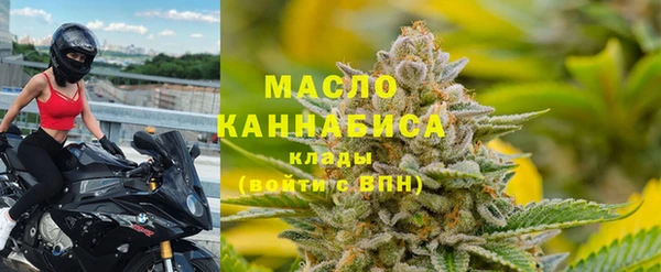 ECSTASY Бородино