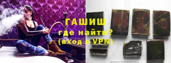ECSTASY Бородино