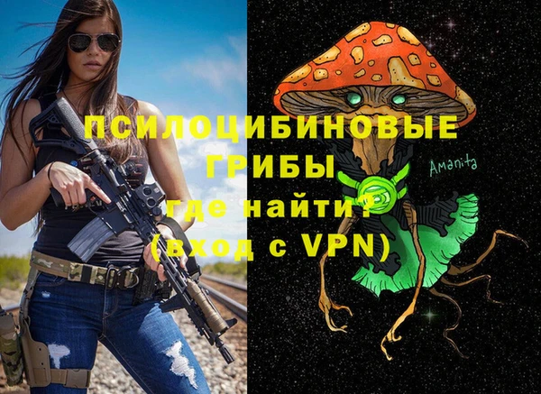 гашик Бугульма