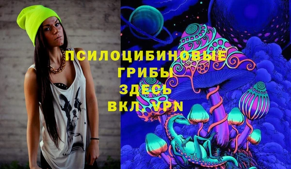 гашик Бугульма