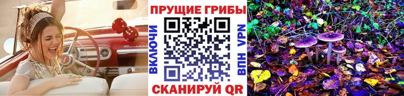 Псилоцибиновые грибы Psilocybine cubensis  магазин  наркотиков  Волгореченск 
